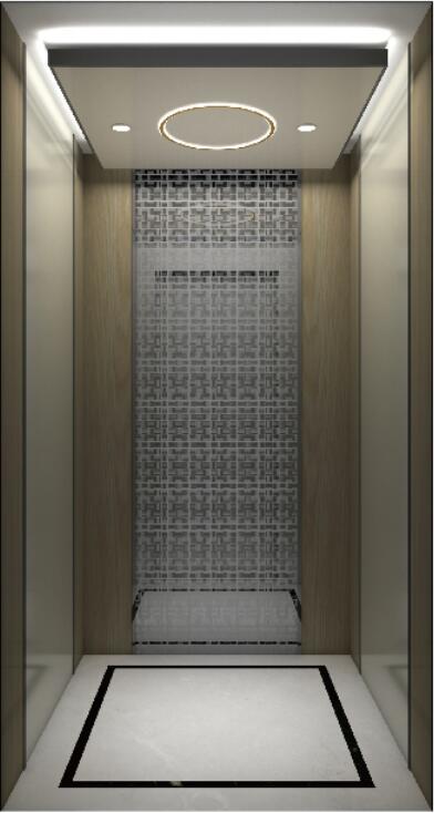 Home Elevator YLT-HL-004